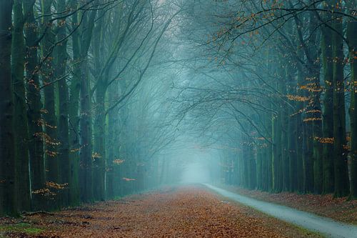 Ingang naar sprookjesland