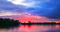Sunrise Biesbosch