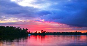 Sonnenaufgang Biesbosch