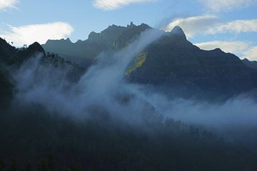 Bergen van Madeira von Michel van Kooten