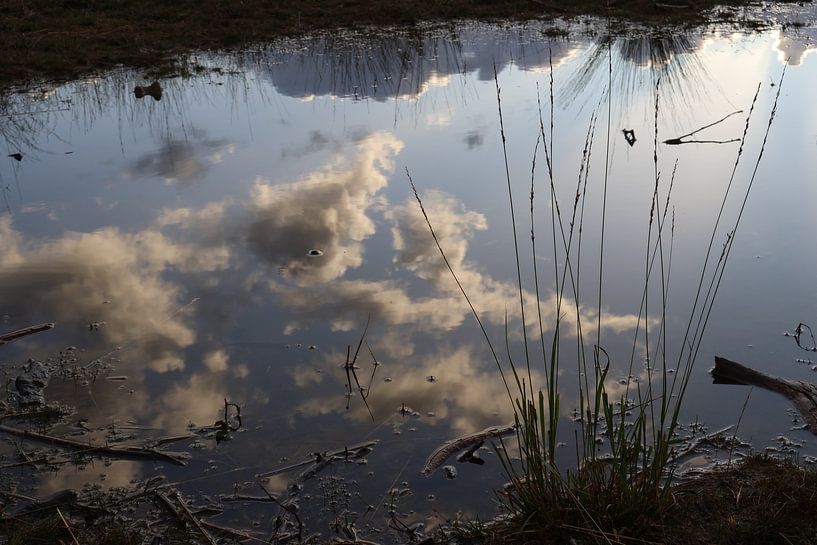 Spiegelung im Wasser von Daniëlle Eibrink Jansen