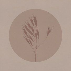 Botanique japonaise dans les tons neutres de beige et de brun. L'herbe. sur Dina Dankers