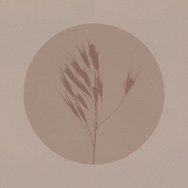 Botanique japonaise dans les tons neutres de beige et de brun. L'herbe. par Dina Dankers