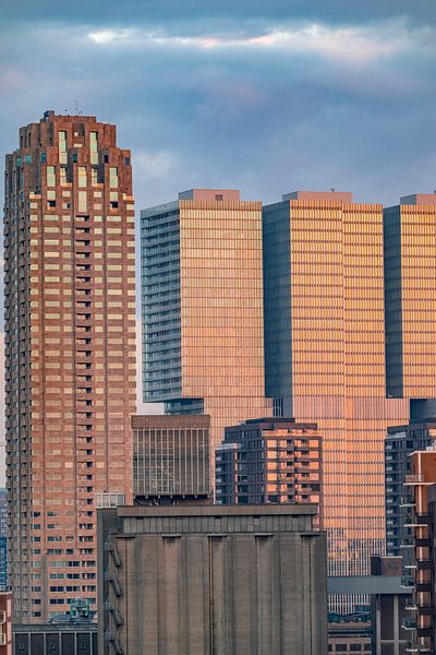 Rotterdam skyline during sunrise by Sjoerd van der Wal Photography