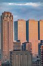 Rotterdam skyline during sunrise by Sjoerd van der Wal Photography thumbnail