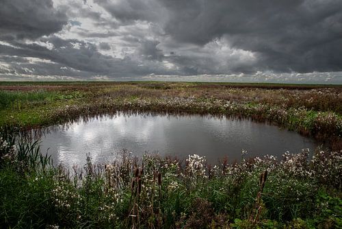 stille reflecties in een poel