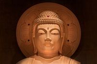 Hoofd van de grote Japanse Boeddha Shakyamuni in Japan.