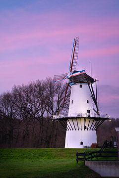 Moulin hollandais avec le soleil couchant