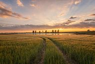 Früher Sonnenaufgang von Quirien Marijs Miniaturansicht