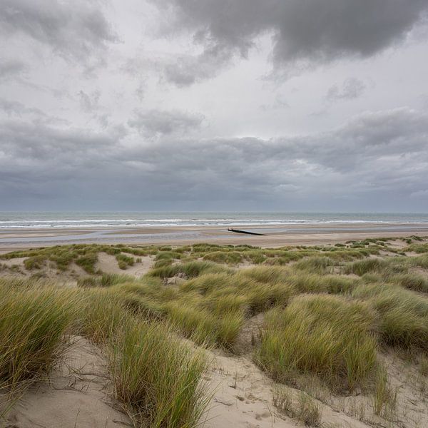 State of Domburg by jimmy verhoeven