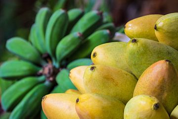 Fruits on a market in Funchal on the island Madeira, Portugal sur Rico Ködder