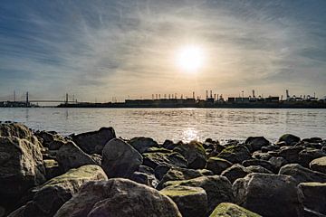 Uitzicht vanaf de stenige oevers van de Elbe op de Köhlbrandbrug en de havenkranen van Hamburg van Andrea Gaitanides - Fotografie mit Leidenschaft