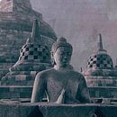 Buddha und Stupa's Borobudur Indonesien von Studio Papilio Miniaturansicht