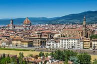 FLORENCE Uitzicht vanaf Piazzale Michelangelo van Melanie Viola thumbnail