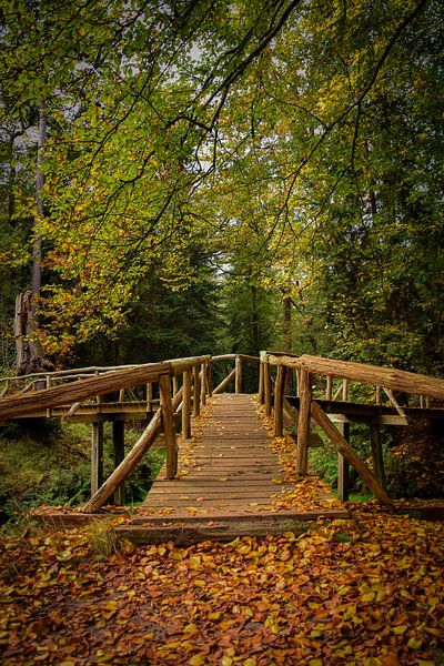 Autumn bridge, Groningen by Merel Pape Photography