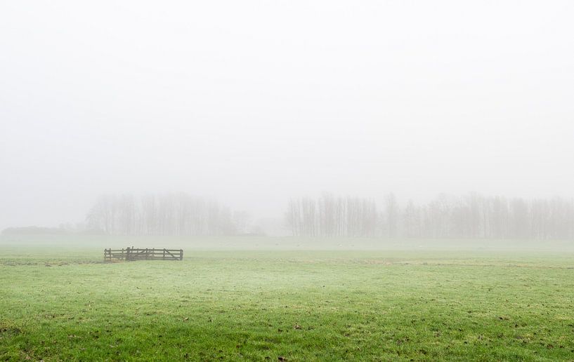 Nebliger Polder mit Zaun in Südholland von Rob IJsselstein