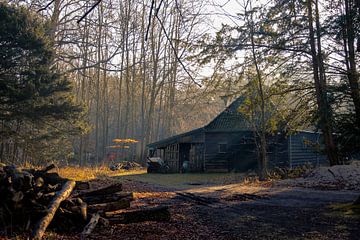 A Cabin Between Shadows and Light by Sebastian Stef