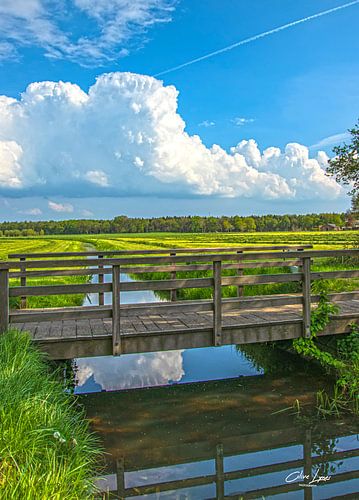 La vie à la campagne