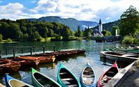 Sunny morning in Slovenia