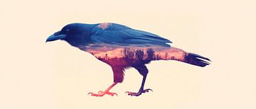 Creatieve raaf van Poster Art Shop