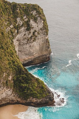 T-Rex van Kelingking Beach (Nusa Penida, Indonesië)