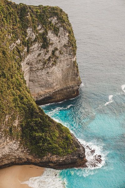 T-Rex from Kelingking Beach (Nusa Penida, Indonesia) by Annick Kalff