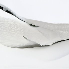 Sculpture de neige faite par le vent sur Gea van der Veen-Smedeman