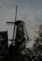 Delft Mill de Roos
