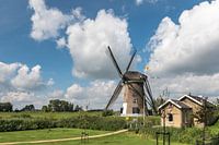 Mallemolen in Gouda