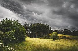 Storm op komst by Sharon Zwart