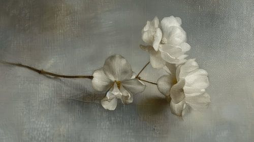 Stilleven in Japandi stijl