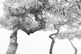 Mit einer Wendung nach oben 1 Japandi von Alie Ekkelenkamp