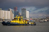 Port of Rotterdam - Erasmusbrug van Sharona de Wolf thumbnail