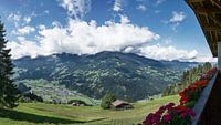 Hoch auf der Alm III von Guus Quaedvlieg Miniaturansicht