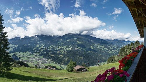 Hoch auf der Alm III