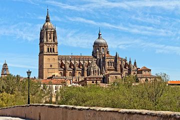 De Kathedraal van Salamanca, Spanje. van Mieneke Andeweg-van Rijn