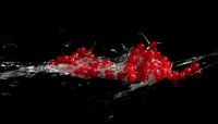 Currants with splash
