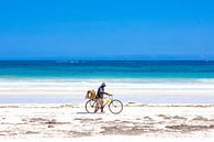 Plage blanche tropicale avec mer azur et ciel bleu et un cycliste par Steven World Traveller Aperçu