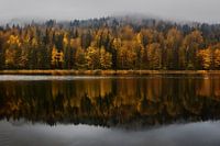 Trees in autumn dress by the lake