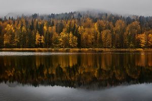 Bäume im Herbstkleid am Riessersee in Garmisch-Partenkirchen