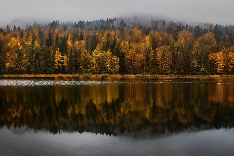 Bomen in herfstkleed bij het meer van Christina Bauer Photos