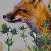 Fuchs mit Goldrand von Postergirls