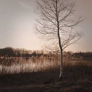 Herbstzeit