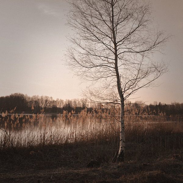 Herbstzeit von Lena Weisbek