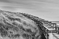 boardwalk