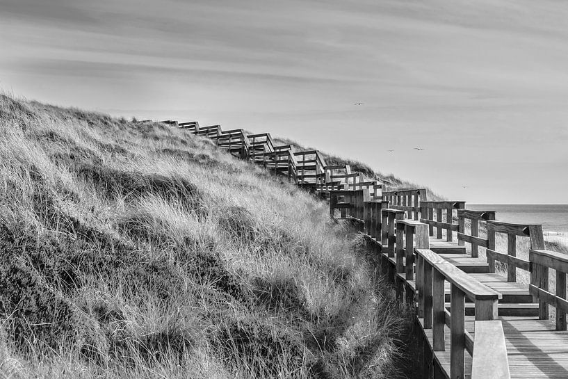 Dünenweg von Heinz Grates
