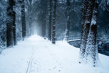 Sneeuwbrug van Sake van Pelt