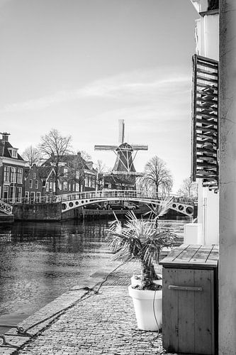 Dokkum