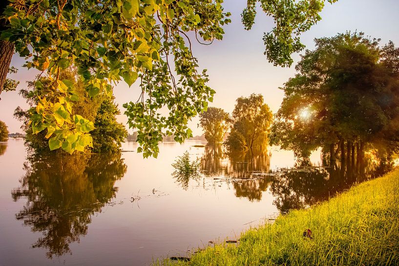 The Meuse at high water by Marcel Bakker