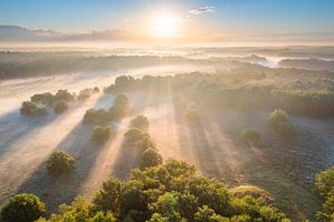 Sonnenaufgang im Nationalpark Drentsche Aa